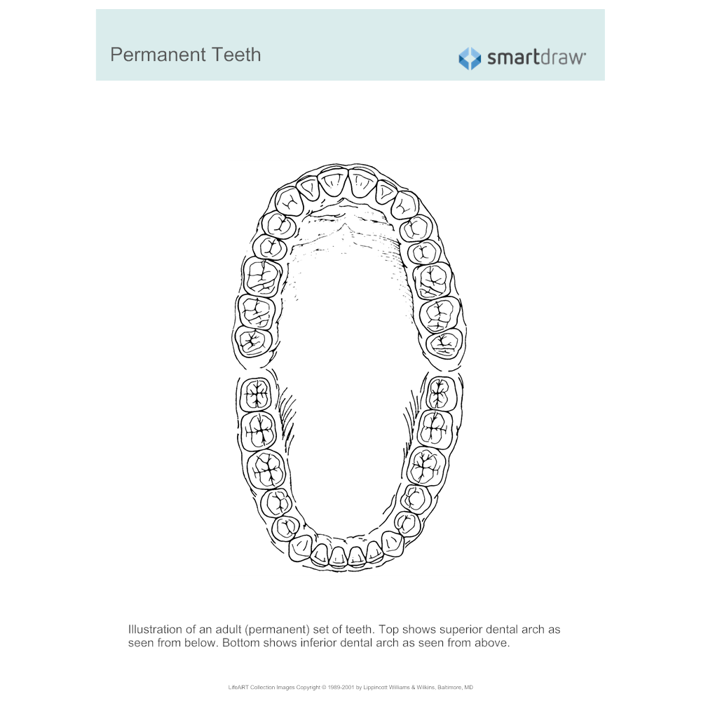 dental arch