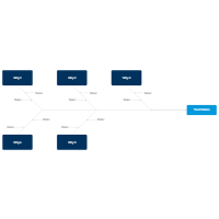 5 Whys - Fishbone Diagram