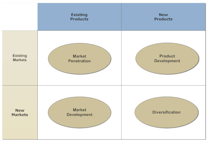 Samsung electronics diversification strategy