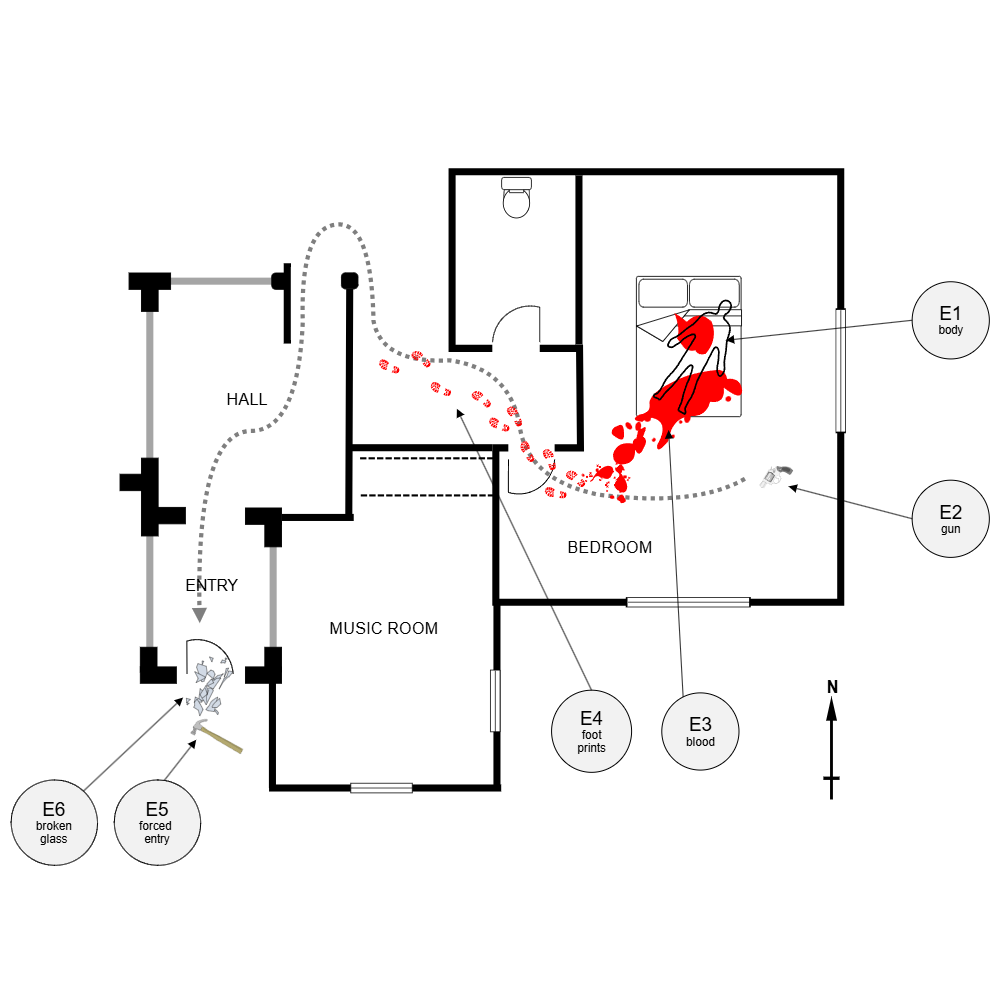 Example Image: Crime Scene - Bedroom