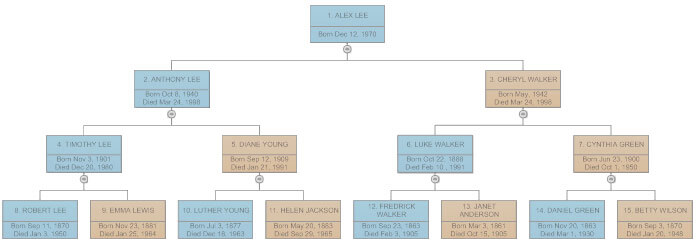 Example Of Family Tree Chart