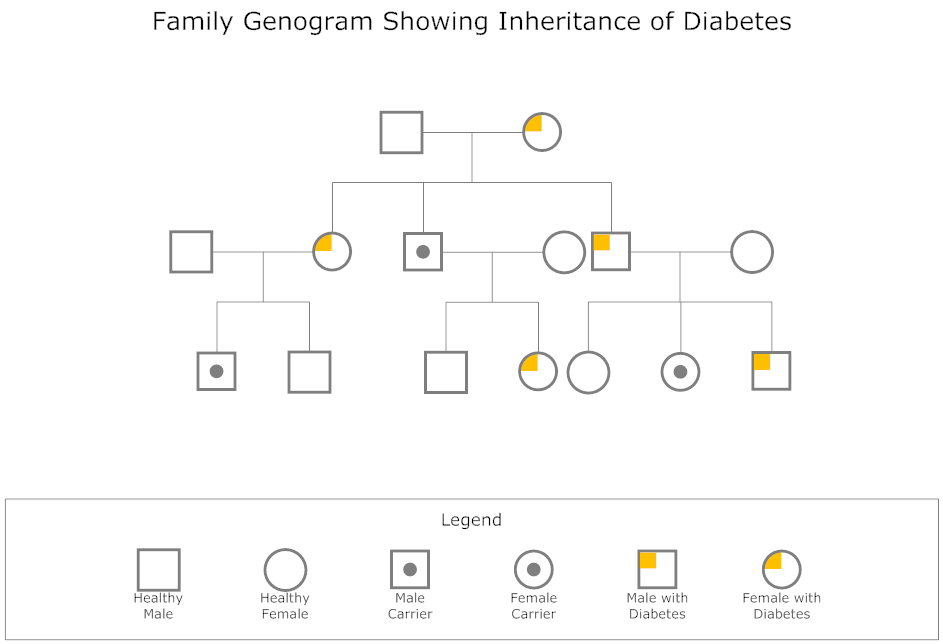 Genogram Maker Templates Free Download & Online App