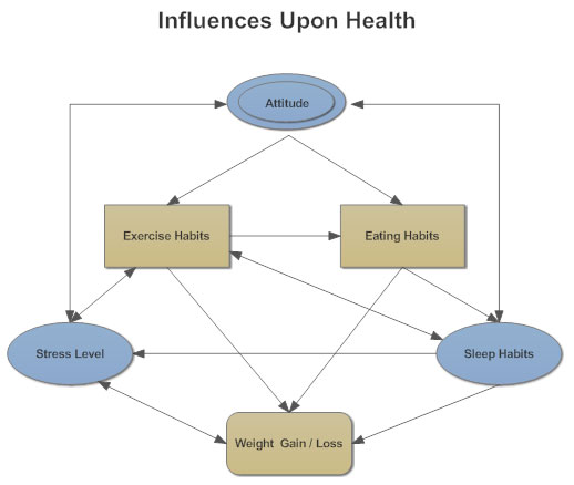 Influence Chart Excel