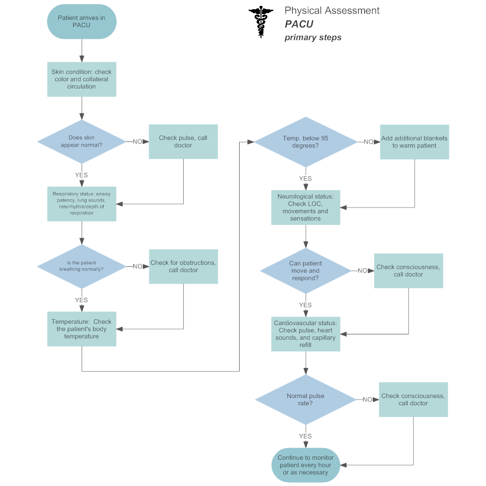 Example Image: Physical Assesment Flowchart