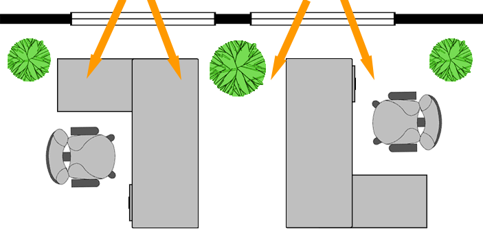 Desks near sunlit windows with plants