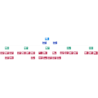 Clinic Organizational Chart Template