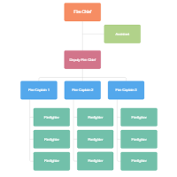 Organization Structure Chart Of Bpo Industry