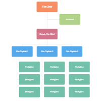 Fire Dept Organizational Charts