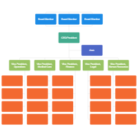 Clinic Organizational Chart Template