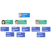 Barangay Organizational Chart Sample