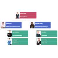 Examples Of Organizational Charts For Business