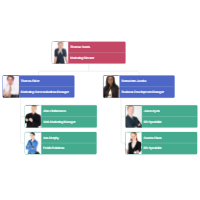 Barangay Organizational Chart Sample