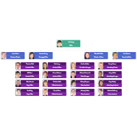 Examples Of Organizational Charts For Business