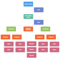 Organizational Chart Of A Sole Proprietorship Business