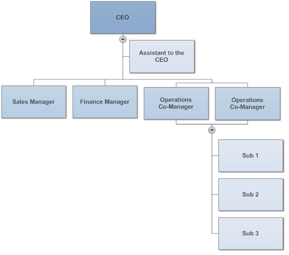 sales organization charts