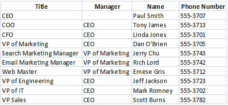 Ceo And Coo Org Chart