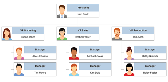 Functional Chart Vs Organizational Chart