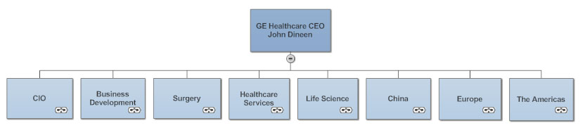 Healthcare Organizational Chart Example