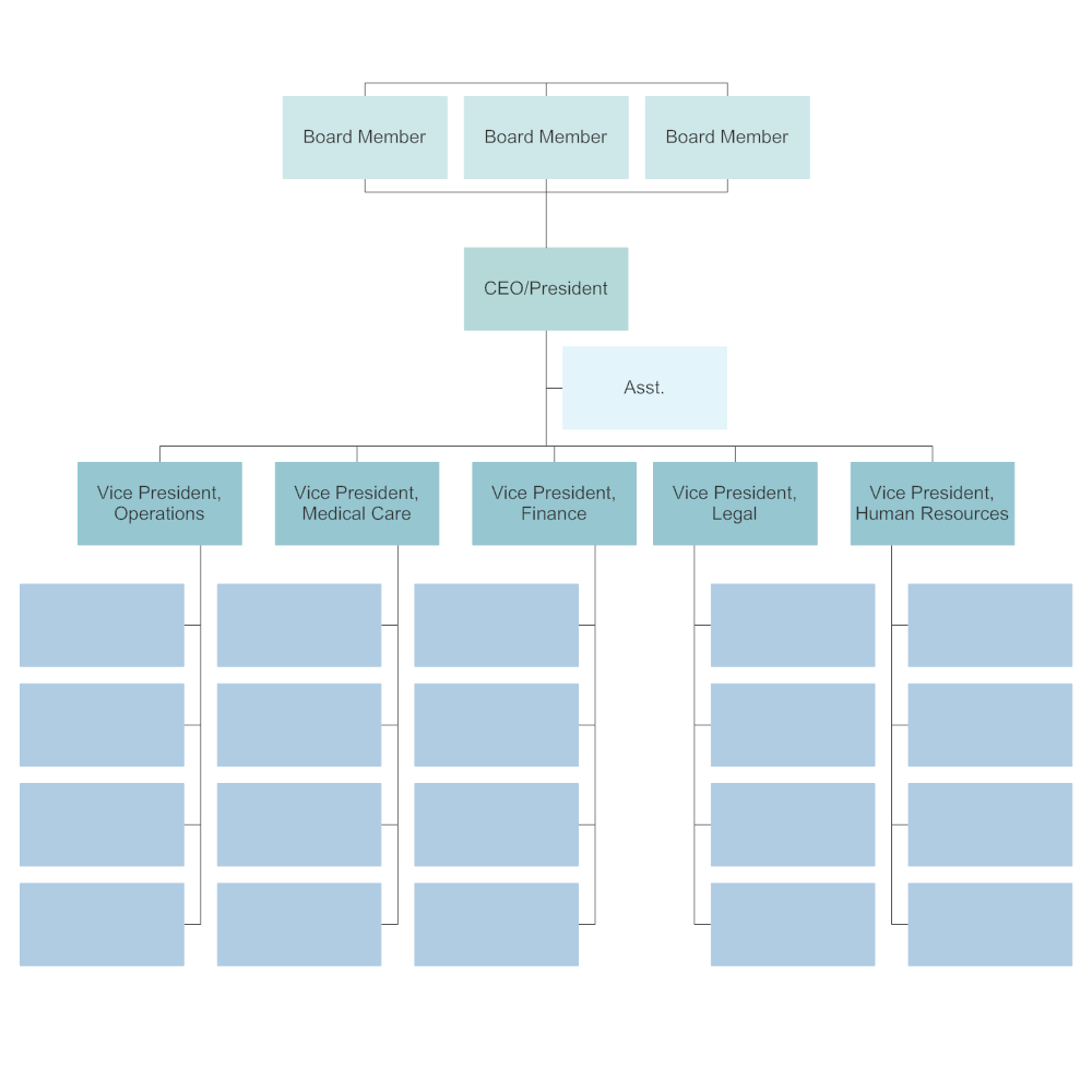 Blank Organizational Flow Chart Template