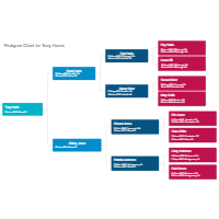 Pedigree Chart Example