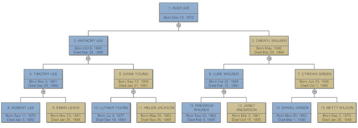 Family Tree Chart Online