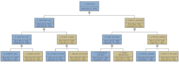 Draw Pedigree Chart