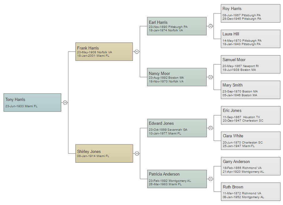 How To Make A Pedigree Chart In Excel