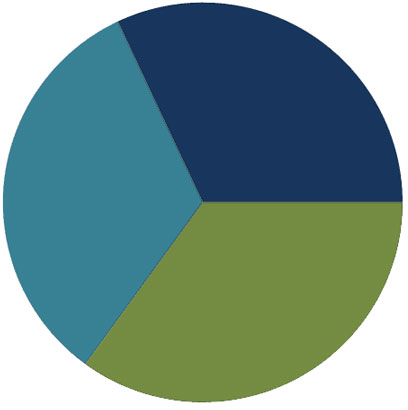 Pie Chart 3 Pieces