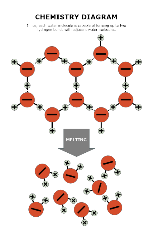 Scientific Diagram Maker - Free Online App & Download for Drawings and ...