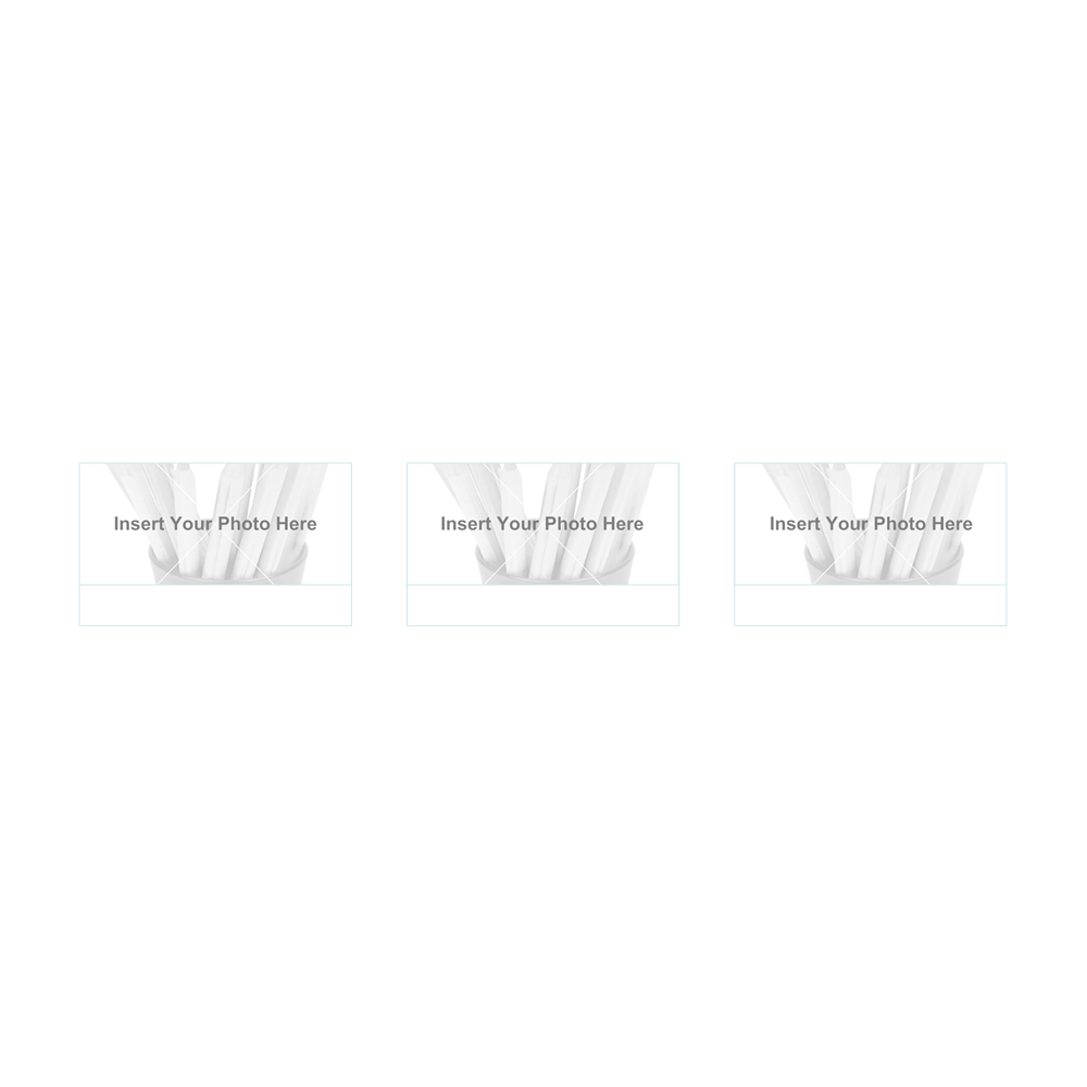 Example Image: Picture Caption List - Horizontal